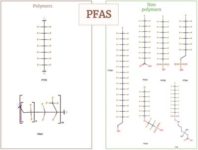 Detection and Tertiary Treatment Technologies of Poly-and Perfluoroalkyl Substances in Wastewater Treatment Plants